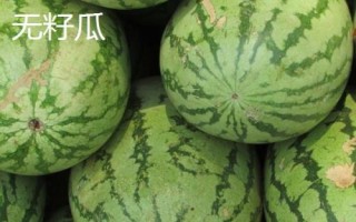 如何挑選好吃又甜的西瓜，表皮光滑、紋路清晰的西瓜口感通常較好