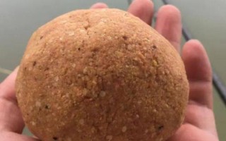 夏季釣魚商品餌料配方大全，不同魚種的餌料配方不同
