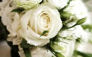 33朵白玫瑰代表的意思，寓意三生三世、美好的回憶等