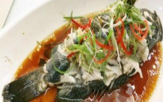冷凍石斑魚能不能清蒸，清蒸石斑魚是粵菜中的一道傳統(tǒng)名菜