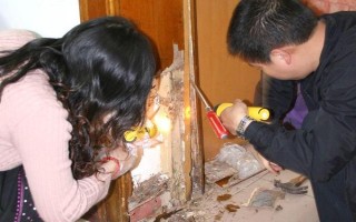 白蟻是不是害蟲(chóng)，既是害蟲(chóng)也是益蟲(chóng)