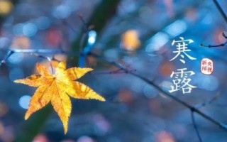 白露和寒露的區(qū)別，白露處于9月上旬、寒露處于10月上旬