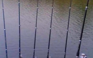 釣草魚用什么魚竿合適，推薦以下6種