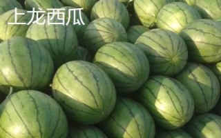 廣西崇左市的特色水果，扶綏甘蔗、上龍西瓜都很有名氣