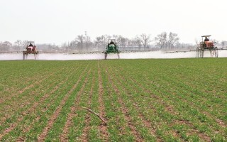 冬小麥半精量播種方法，造墑后按照3-5厘米的深度進(jìn)行機(jī)播