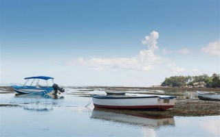 塞內(nèi)加爾海域漁業(yè)資源豐富是什么原因，當(dāng)?shù)貧鉁剡m宜