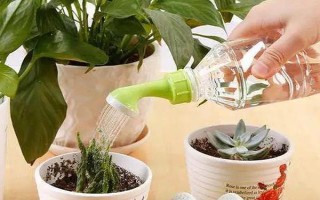 維生素c能澆哪些植物，可以澆綠蘿、茉莉花等