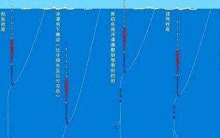 用蚯蚓釣魚時應(yīng)該如何調(diào)漂，可采用加鉛、找底、剪鉛等方式