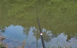 蚯蚓釣鯽魚(yú)不開(kāi)口怎么處理，一定要打好窩子
