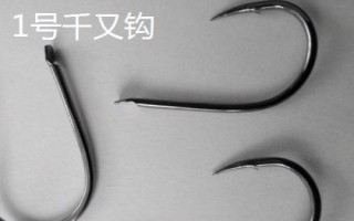千又鉤和伊豆鉤的區(qū)別，千又鉤的鉤尖呈鷹嘴狀