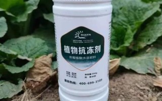 使用植物防凍劑的時間，晚秋、初冬、春季倒春寒這幾個時期最合適