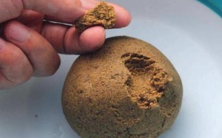 羅非魚打窩用什么，食性因個體大小不同而不同