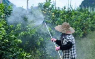 噻苯隆的用法以及要注意什么，畝用100克藥劑兌水噴霧即可