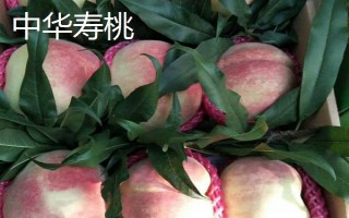 山東臨邑縣的特產(chǎn)，常見(jiàn)的有理合冬棗、中華壽桃等