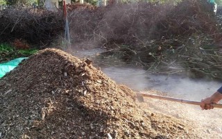 秋冬絲瓜定植后的管理方法，噴施新高脂膜可縮短緩苗期