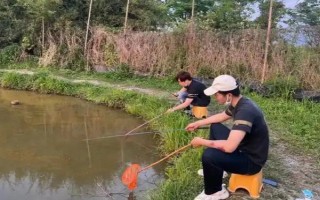 釣小龍蝦用哪種肉，雞肝、鴨腸、蚯蚓等餌料都是適宜選擇