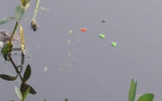 七星漂流水能釣魚嗎，在流水中用七星漂無(wú)法觀察漂相
