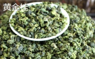 鳳凰單叢屬于紅茶還是綠茶，屬于烏龍茶