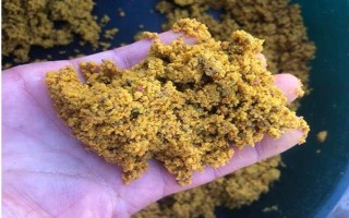 釣鯉魚如何才能避開白條鬧窩，可以使用素餌