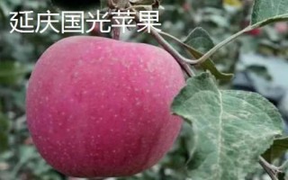 北京市延慶縣的特產(chǎn)，包括延慶杏、延慶國(guó)光蘋果、燕山板栗等種類