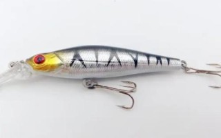 11月翹嘴魚怎么釣，最好提前打窩