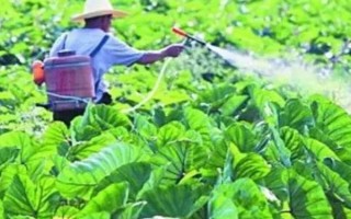 啶蟲脒的使用方法和用量，可防治蔬菜、棗、蘋果樹上的蚜蟲