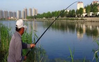 長(zhǎng)竿短線釣有什么優(yōu)勢(shì)，淺水可釣適應(yīng)性強(qiáng)調(diào)漂簡(jiǎn)單