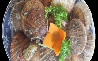 海灣扇貝的產地，原產于美國東海岸