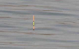 用蚯蚓釣魚時應(yīng)該如何調(diào)漂，可采用加鉛、找底、剪鉛等方式