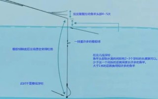 釣白條魚可以用什么餌料，腥餌還是香餌效果都很不錯(cuò)