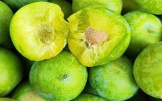 倉鼠可以吃哪些食物，可以吃小米、香蕉、桃子等
