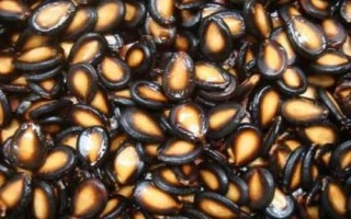 四川省營山縣的特產(chǎn)，油豆腐、咂酒、酸辣豆花很有名
