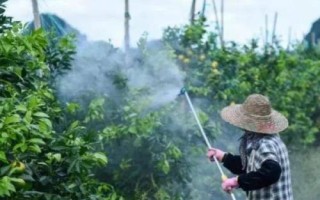 枯草芽孢桿菌的防治對(duì)象，可防治青枯病、潰瘍病、性軟腐等