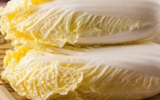 高山娃娃菜的產(chǎn)地，是中國云南的特產(chǎn)