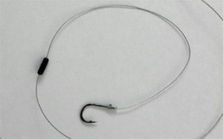 2.0號(hào)子線可以釣多重的魚(yú)，確保質(zhì)量能應(yīng)付10斤以內(nèi)的魚(yú)類