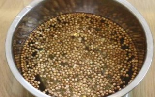 夏季蔬菜育苗要注意什么，及時(shí)分苗間苗可讓秧苗更粗壯