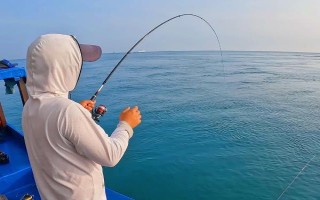 春季怎么釣青魚(yú)，在仲春作釣可增加釣獲率