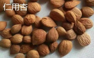 山西省蒲縣的特產(chǎn)，蒲縣黑木耳非常有名
