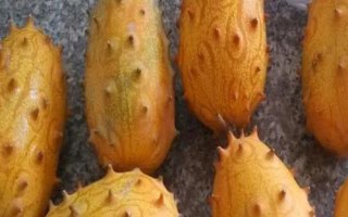 火參果是什么季節(jié)的水果，是夏秋季節(jié)的水果