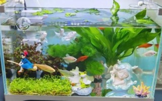 魚缸的使用壽命，通常為8-10年左右