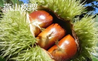 北京市延慶縣的特產(chǎn)，包括延慶杏、延慶國(guó)光蘋果、燕山板栗等種類