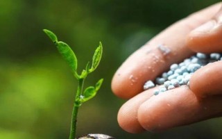 生物肥與有機肥有什么區(qū)別，概念、外觀、作用和價格均不同