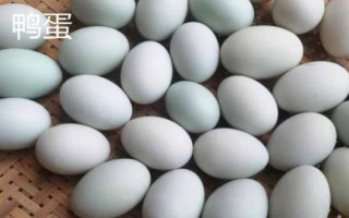 蛋的品種，最常見(jiàn)的種類(lèi)是雞蛋