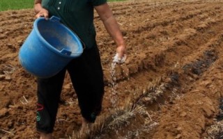 怎么使用微量元素水溶肥，分為土壤施肥、種子處理、根外追肥
