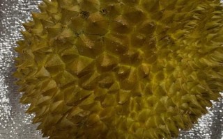 怎么催熟榴蓮，可用熟果或大米催熟等