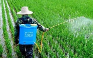 農(nóng)作物有哪些常見肥害，包括脫水型肥害、熏傷型肥害、燒種型肥害等類型