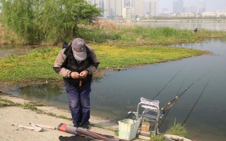 怎么選擇魚(yú)線，常用尼龍線以及大馬力線
