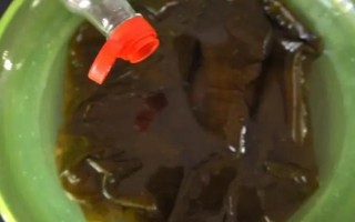 濕海帶和干海帶哪個好，各有各的好處