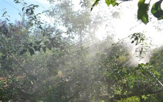 農(nóng)藥的毒性分類，主要分為劇毒農(nóng)藥、高毒農(nóng)藥、中毒農(nóng)藥等5個類型