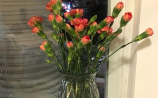 夏天怎樣讓鮮花保鮮時(shí)間長(zhǎng)一點(diǎn)，將鮮花養(yǎng)護(hù)在通風(fēng)陰涼的地方